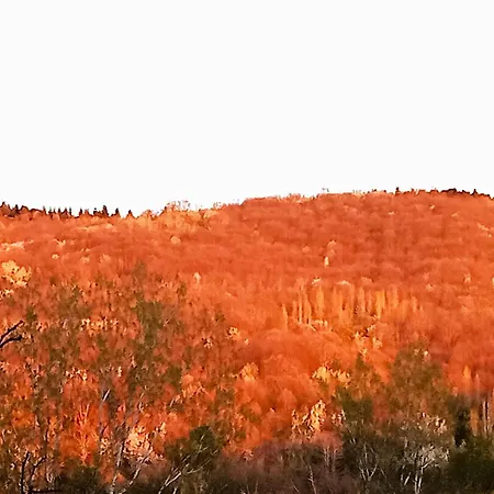 Hétvégi ház Rural El Jardin Del Conde