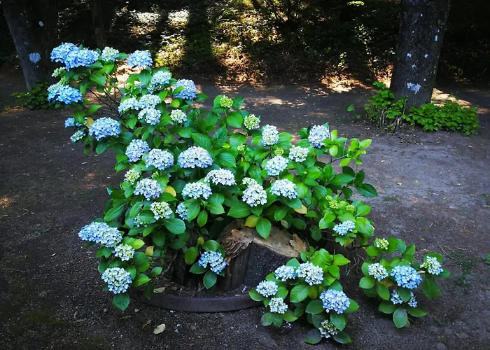 Rural El Jardin Del Conde * Puerto de Bejar