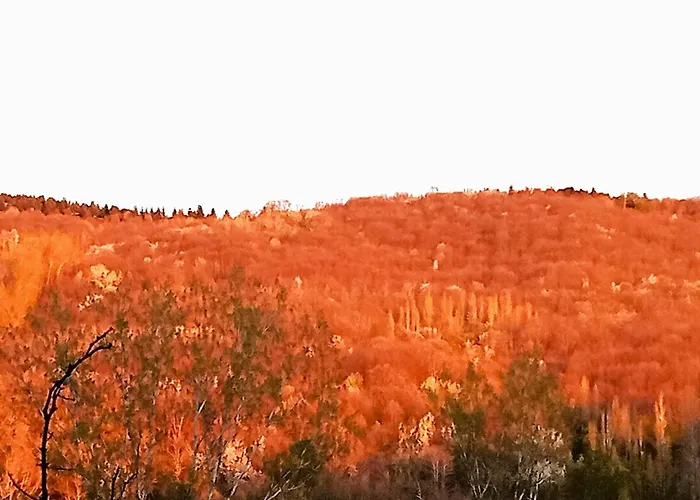 Country house Rural El Jardin Del Conde